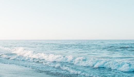 無くなったとしても絶対にもう一度買う！それくらい満足度が高く、買って後悔しなかったミニマリストおすすめのアイテム